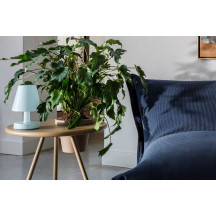 Lampe de table rechargeable Edison The Ambiance Polar Blue Fatboy®