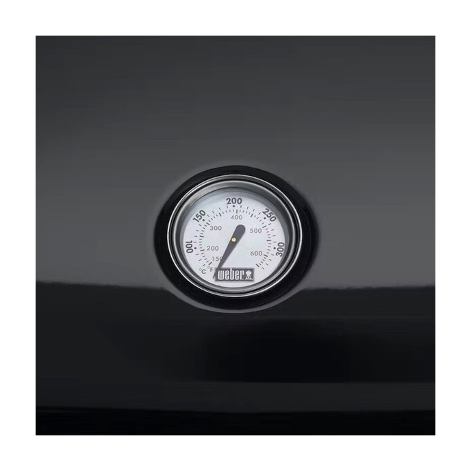 Barbecue électrique Lumin compact - Noir Weber