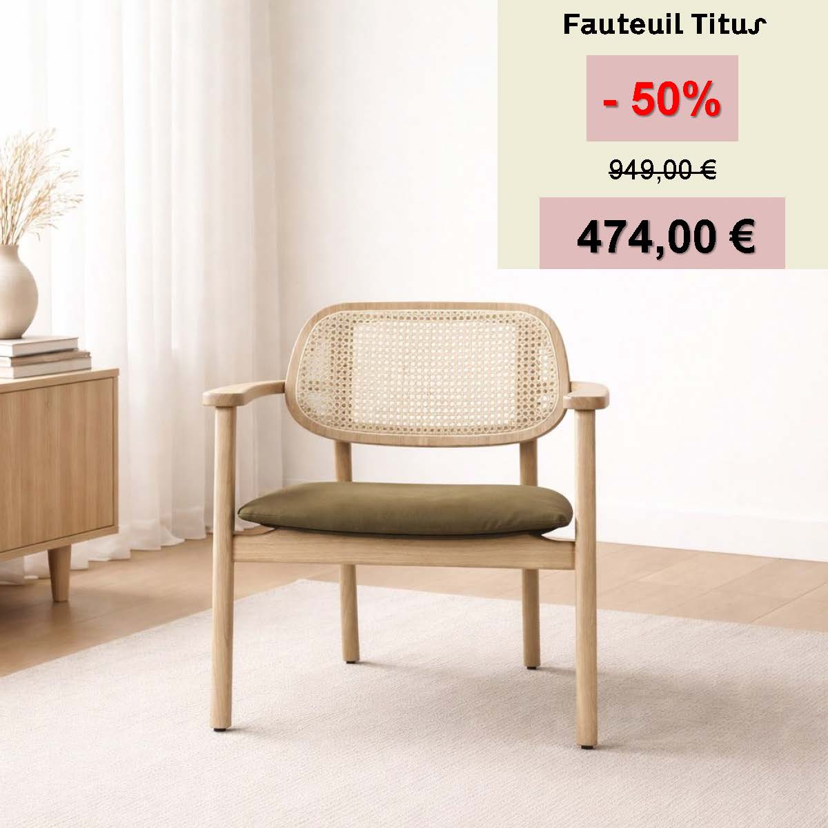fauteuil titus.jpg